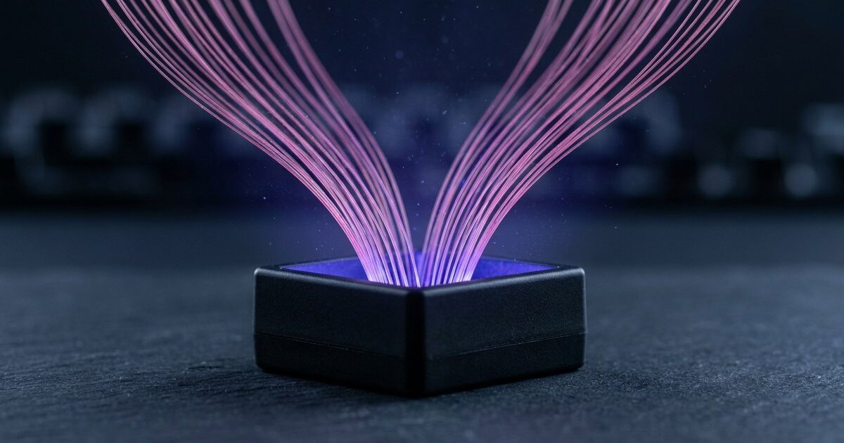 Around twenty fine pink filaments fan upward and outward from a single indigo-lit module
